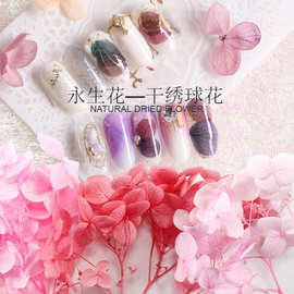 日系美甲干花转盘永生花nail指甲干花饰品干绣球花40朵平底钻盒装