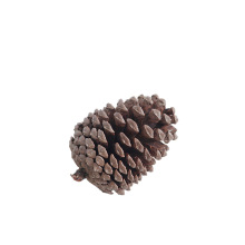 天然松果系列 松塔花环装饰干花幼儿园创意手工diy材料摆件