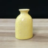 Plum vase yellow