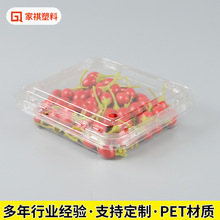 ʳƷ���ܰ��b�� ˮ���������͸�����w���� pet��������w���b��