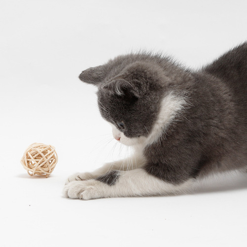 Cat Toy Feather Rattan Bell Sound Ball Pet Cat Toy Plant Straw Bell Double Ball Set Wholesale
