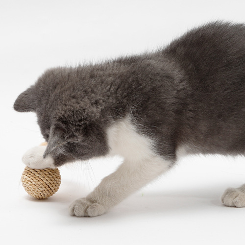 Cat Toy Feather Rattan Bell Sound Ball Pet Cat Toy Plant Straw Bell Double Ball Set Wholesale