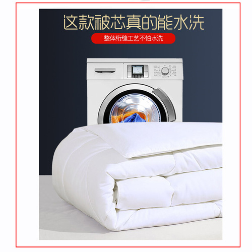 Feather velvet brushed pure cotton quilt core spring and autumn quilt thickened pure white quilt core for hotel guest rooms