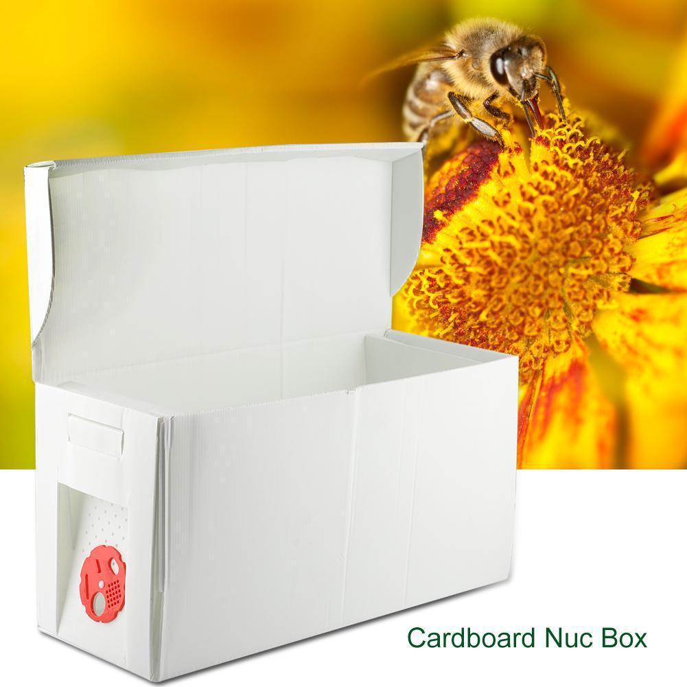 塑料折叠育王蜂箱分蜂蜜蜂交尾传粉授粉箱 养蜂工具现货 跨境批发