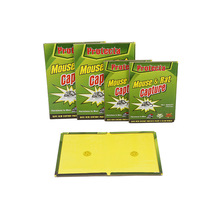 ���ĺ�����ճ��������N��������Qֱ��mousegluetrapճ�x�嚢�x