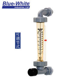 美国蓝白BLUE-WHITE F-450聚砜流量计