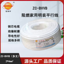 ��h��늾���| �o�׾��~о ZC-BVVB2X4ƽ����֧ ��ȼ��|