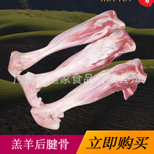 带肉羊棒骨10kg约16条/件 多肉羔羊后棒骨羊后腱子羊小腿烧烤食材