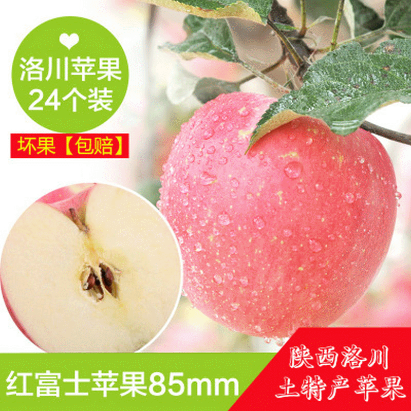 陕西洛川苹果24枚80  洛川苹果 产地直发应季新鲜水果脆甜可口