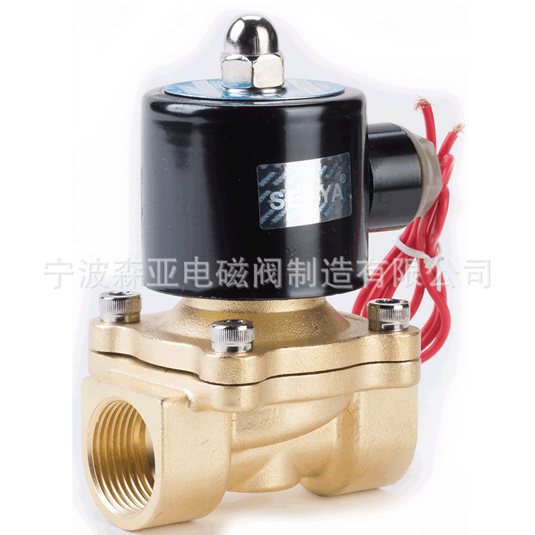 2W-200-20 DN20  2W常闭系列电磁阀铜体，国标和经济型两种款式