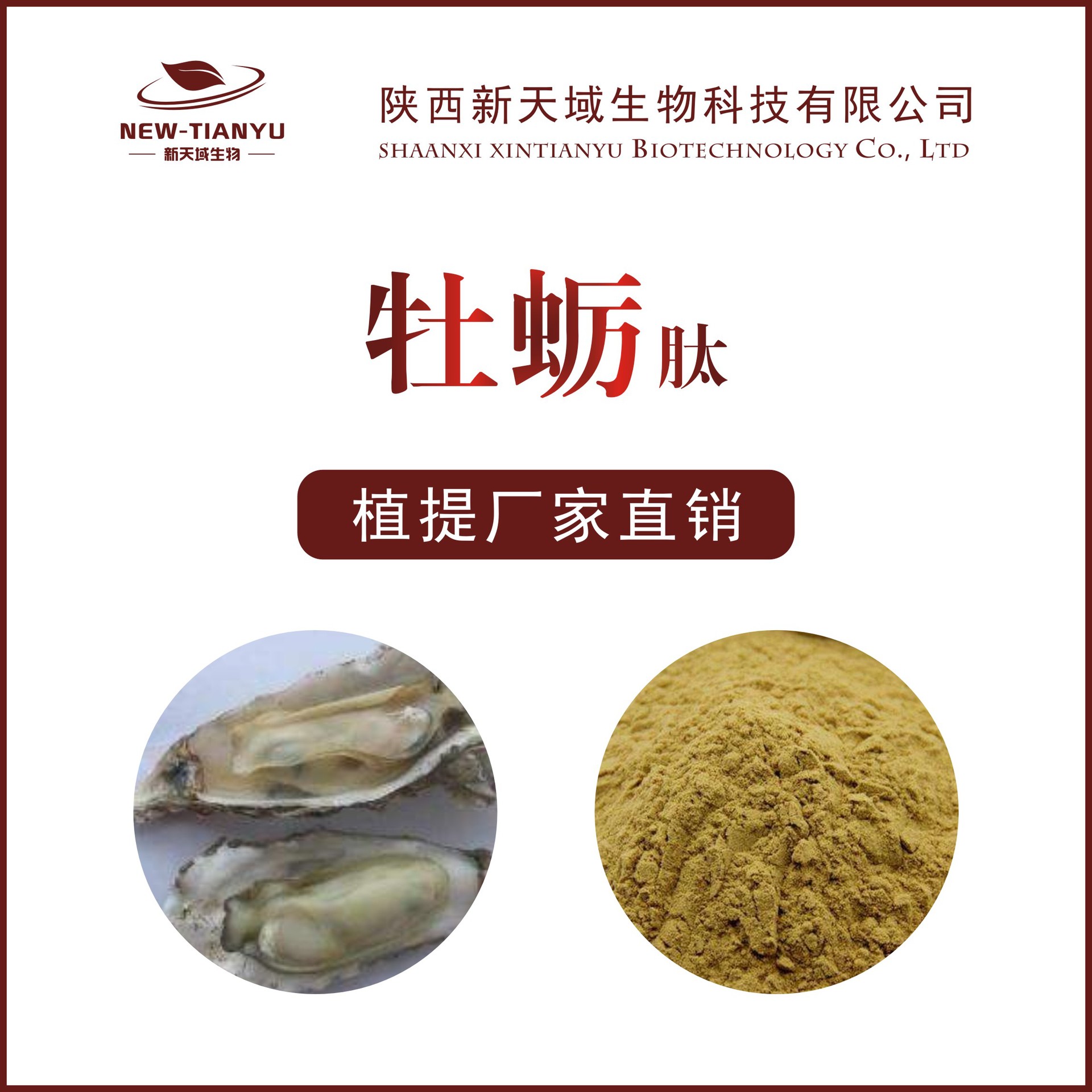 牡蛎肽 牡蛎提取物  动植物肽  牡蛎多肽 天域生物供应 喷雾干燥