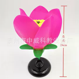 教学仪器;数理教学器材;实验室仪器