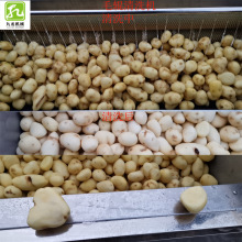 ���o�����ȥƤ�C ȫ�Ԅ�ë݁ȥƤ��ϴ�C ɏźĥƤ�C