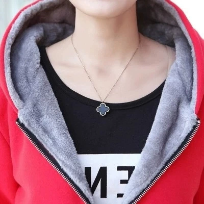 Warm hooded sweatshirt jacket, fleece‑lined, plus sizes S–4XL, zip front and pockets