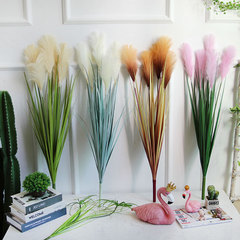 批發仿真5頭蘆葦草綠色植物盆栽婚慶花家居落地擺設假花狗尾巴草