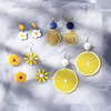 Set, fashionable long advanced earrings, internet celebrity, high-quality style, french style