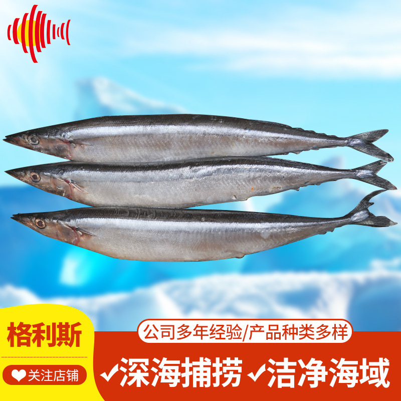 Wholesale Edible Saury, Fresh Quick-Frozen Barbecue Saury, Seafood and Aquatic Products, Frozen Fresh Saury Wholesale Edible Saury, Fresh Quick-Frozen Barbecue Saury, Seafood and Aquatic Products, Frozen Fresh Saury