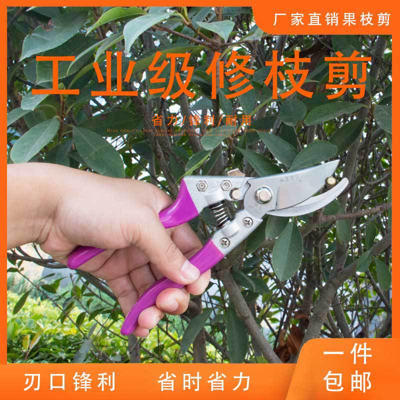 刘继强