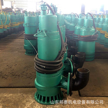 SֱBQSVøˮ۝ˮ늱 BQS25-50-7.5KWˮ