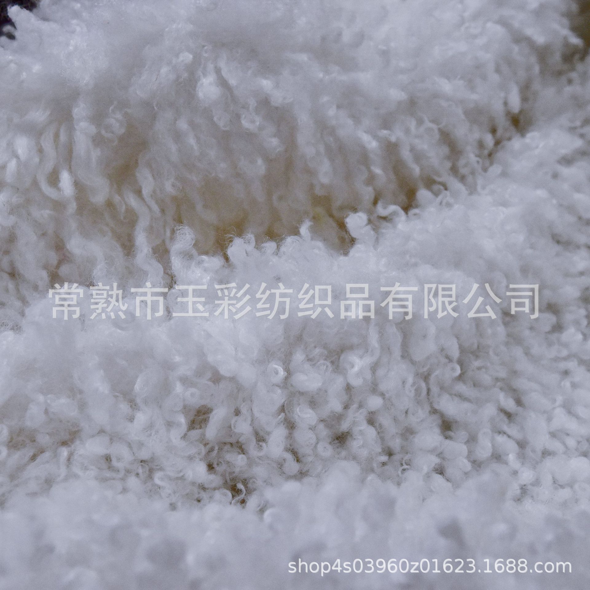 大羊圈绒 长毛卷毛绒 欧美时装卷毛绒 cosplay服装专用卷毛绒布