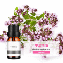 ϣDţOregano oil۷ӄӆηԭl