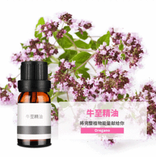 ϣ�Dţ������Oregano oil���۷ӄ���������ӆη�����ԭ�����l