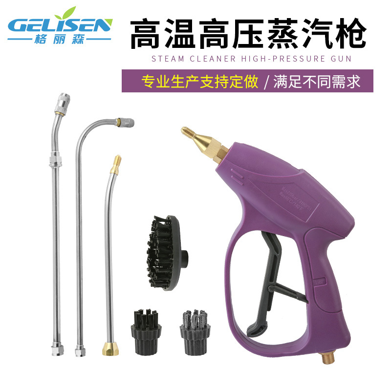 高温蒸汽清洗机喷枪 家电厨房油烟机消毒蒸汽喷枪 洗车机配套水枪