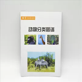 数理教学器材;教学演示用品;生物教学器材