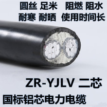 国标ZR-YJLV铝芯铠装阻燃电缆2芯10 16 25 35 50平方二芯电缆线