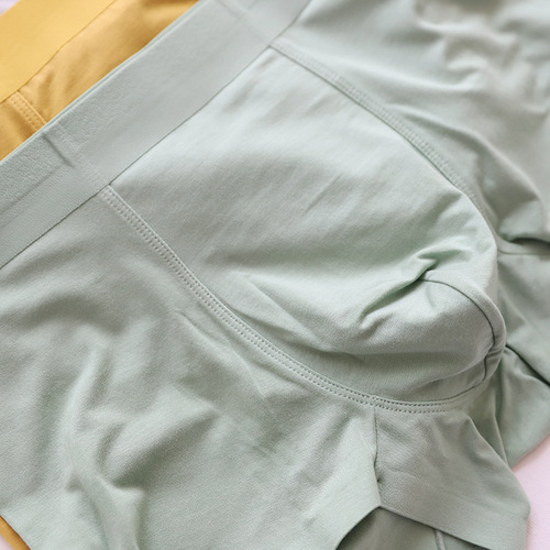 NS012 Lenzing 60 Count Modal Men's Underwear Boxers Super Soft Handle Solid Color Seamless