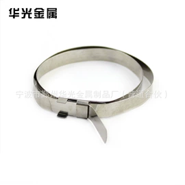 卡箍、抱箍;片弹簧