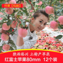 現貨洛川紅富士 12枚80 丑蘋果 大量批發皮薄肉厚脆甜多汁應季
