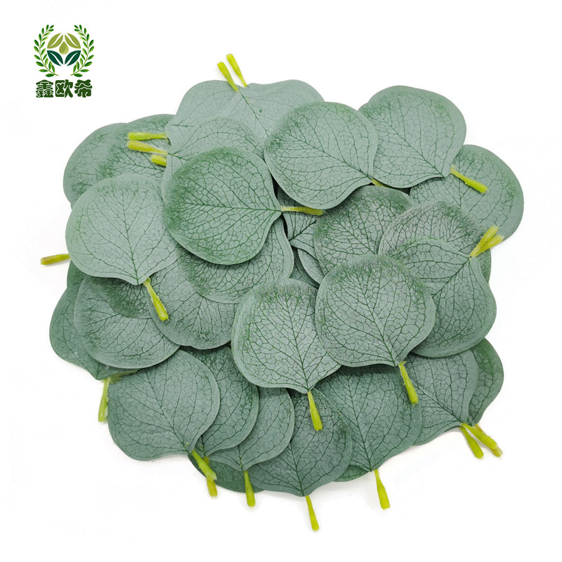 Amazon Simulated Artificial Eucalyptus Single-Piece Leaf Round-Leaf Eucalyptus Leaf Forest DIY Single-Piece Decorative Leaf