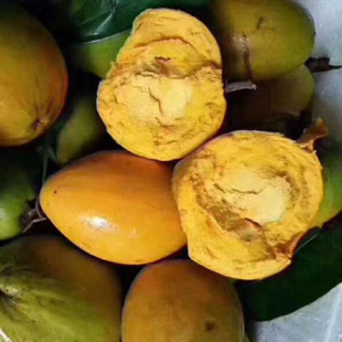 �u�������rˮ��5�ﮔ���r��S���������l�쑪���خaһ�����l