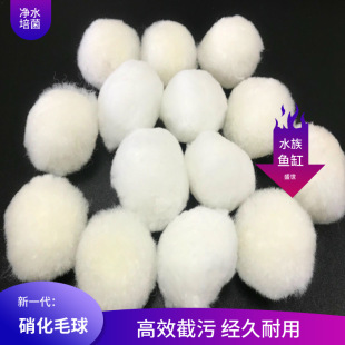 ����ë��  ˮ���^����  ����������  �����  ���a�S��