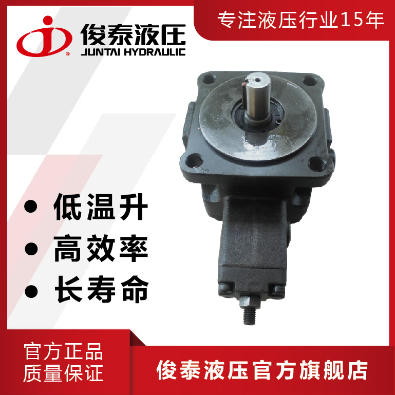 广东俊泰 VP-SF-40低压变量叶片泵 油压电动机用电动液压泵浦