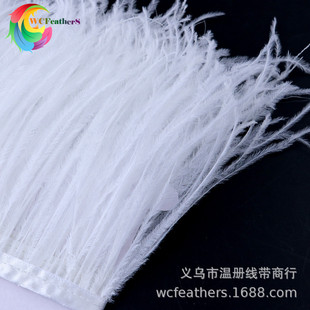 �x���S���ֹ����r�Bë��߅15-18cm��ë���鼆�Y��������ë�z