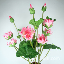 �߷��潁�����~7�^˯ɏ����ɻ��R���廨�@�ֻ�ˇ��ʽ��ʽ�b�