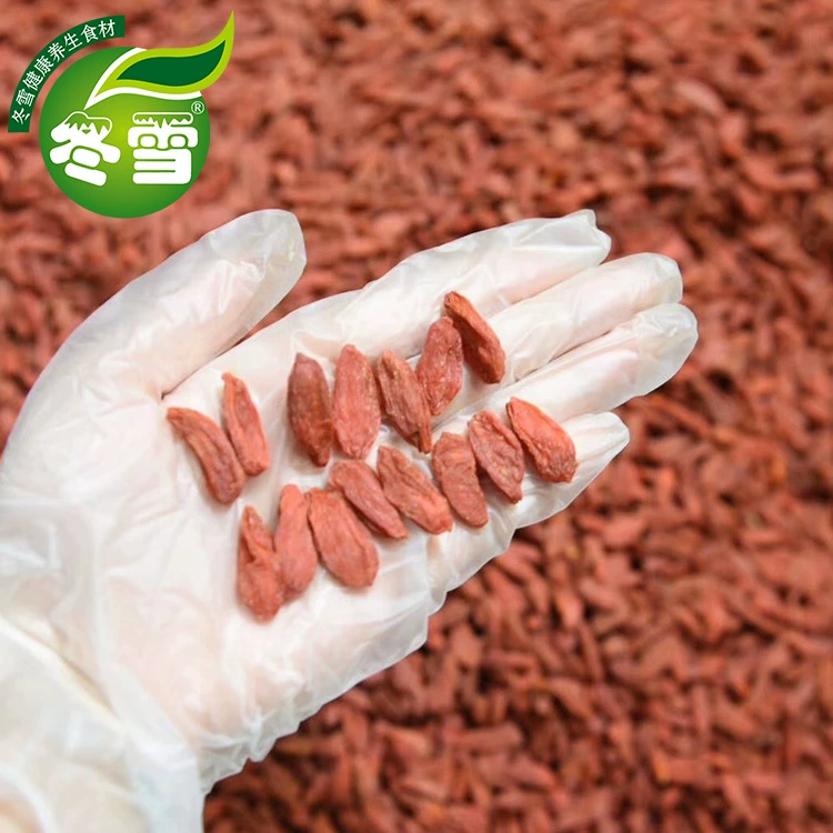 [Красная лайчи] Новый продукт Нинся лайчи