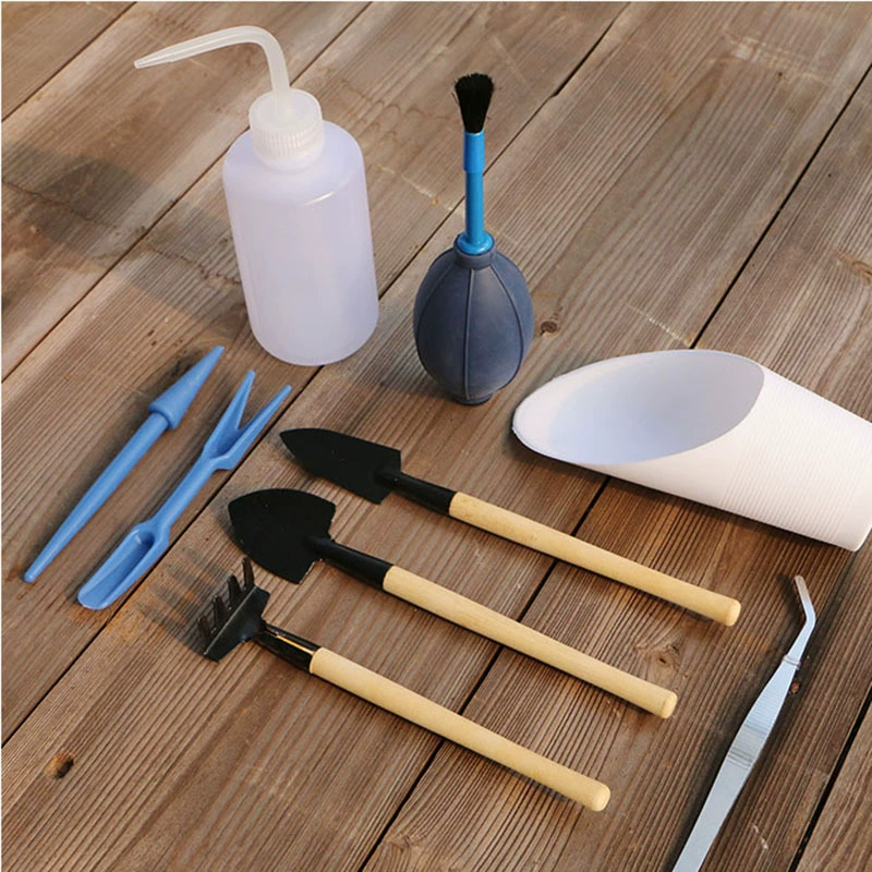 Мясистые растения цветы зеленые растения с круглой головкой локтевой Пинцет выдувание воздуха воздушный шар вставная карта полив чайник разведение окружающие инструменты