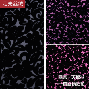 �S��ֱ�N ���Ƚz�q ��z�q�������� ���Z���̽q�q�� �m������۵�