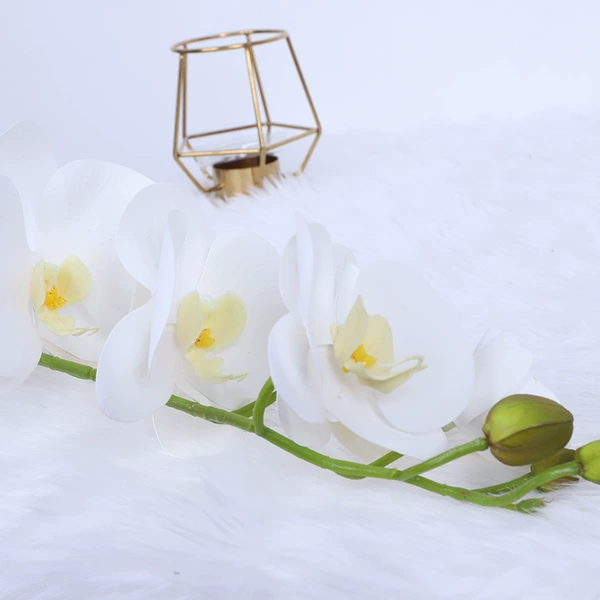 Pure white and yellow heart
