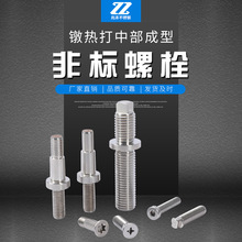 304 316非标件螺丝加工定制 冷镦热打中部成型螺栓 不锈钢非标螺