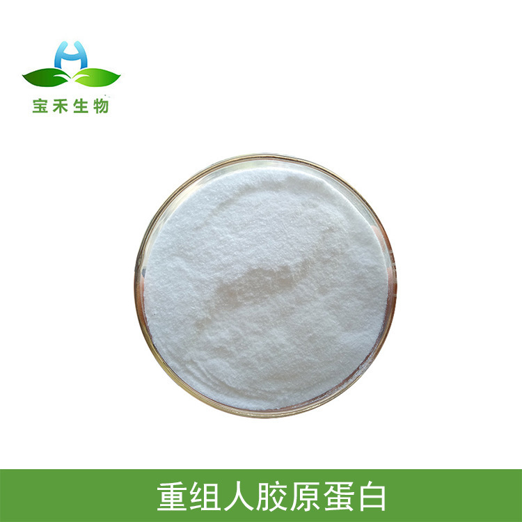 Recombinant Source Collagen 98% Recombinant Type Iii Collagen Type Iii Collagen Freeze-Dried Powder for Skin Care