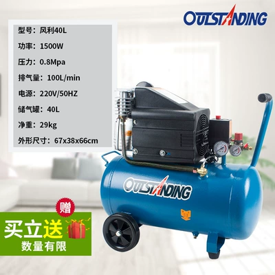 Otus Fengli Air Compressor Hava kompressorları - fengli-48-cylinder-diameter-40l-copper