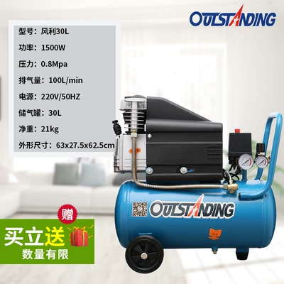 Otus Fengli Air Compressor Small Compressor Carpentry Air Pound Air Pump Auto Repair Tool Inflation (Hava kompressorları) - fengli-48-cylinder-diameter-30l-copper