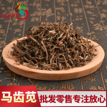 马齿苋 厂家批发马齿苋冷被药材马齿苋 量大价优农产品马齿笕
