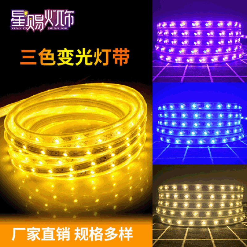 220V 램프 LED 3 색 가변 라이트 컬러 램프 원격 제어 가정용 천장 램프 5730 더블 행 밝은 라이트 바 도매