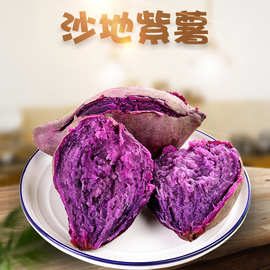 【严选】广东紫薯 代发3中大果新鲜流油烤地瓜当季蔬菜紫罗兰蜜薯