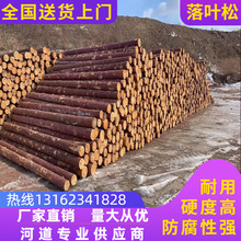 |~ɗԭľl  ~ɈAľl ~ɴľ ~ľ